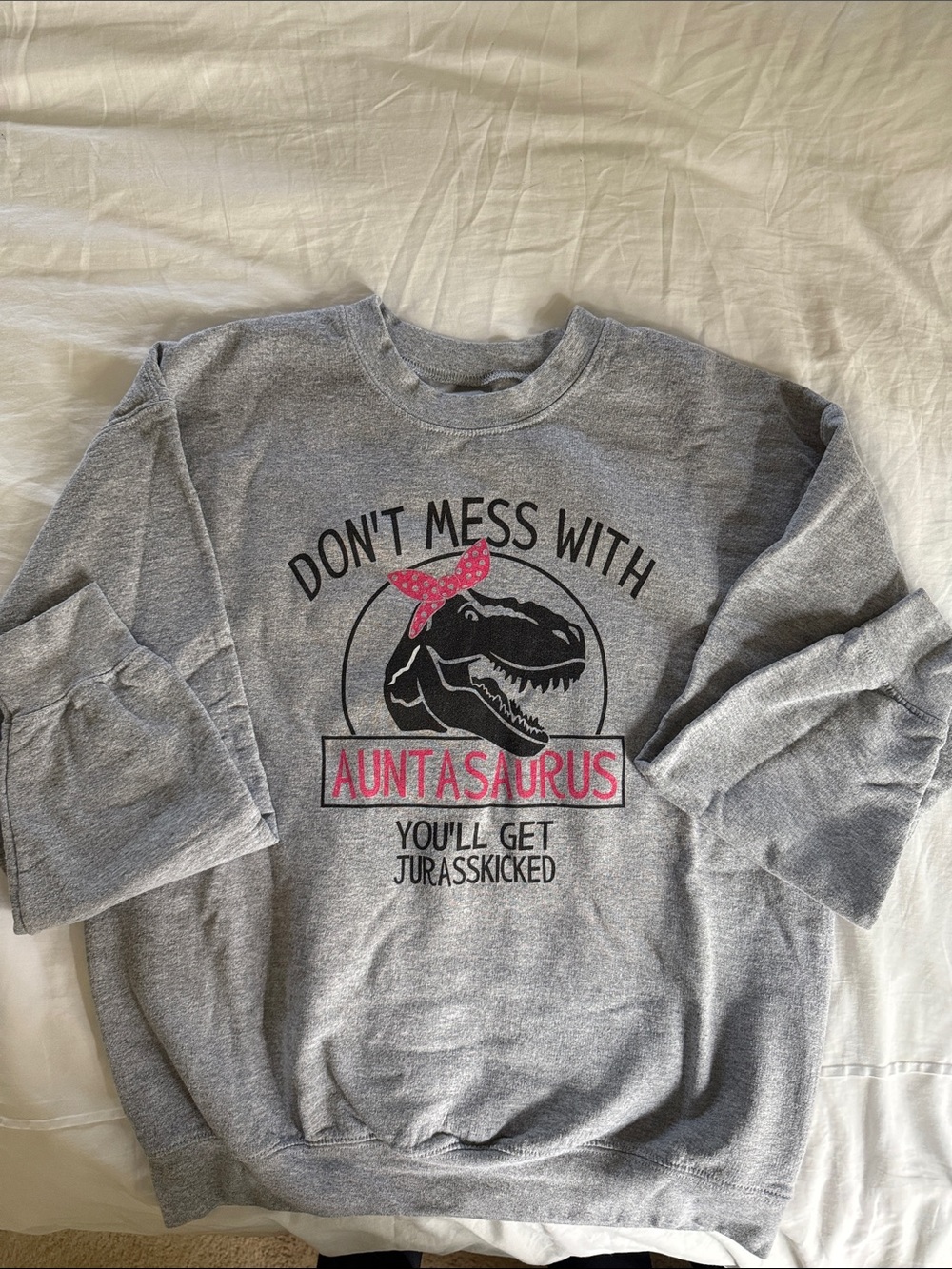 Gildan Gray Sweatshirt with Black Dino Graphic and Pink Accents